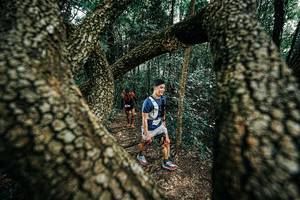 BIB: 
                            <button type="button" onclick="openModal(25392451)" class="btn btn-primary btn-sm float-right btn-popup" data-toggle="modal" data-target=".modal-high-quality">
                        <i class="fas fa-shopping-cart"></i> Add to Cart
                    </button>
                                            <button type="button" onclick="isThisMe(25392451, true)" class="btn btn-success btn-sm float-right btn-popup btn-isme hidden" data-toggle="tooltip" data-placement="bottom" title="นี่คือรูปของคุณใช่ไหม คลิกที่นี่เพื่อเอาเข้าอัลบั้ม">
                        <i class="fas fa-plus"></i> Add to album
                    </button>
                    <button type="button" onclick="isThisMe(25392451, false)" class="btn btn-warning btn-sm float-right btn-popup btn-isnotme hidden">
                        <i class="fas fa-ban"></i> Remove from album
                    </button>